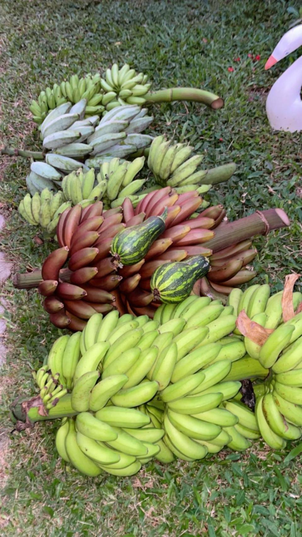 Pousada Rural Ouro Verde Eldorado Ngoại thất bức ảnh